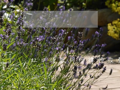 虹口借款纠纷律师收费 虹口借款纠纷律师收费