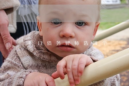 虹口债务律师选哪个 虹口债务律师选哪个