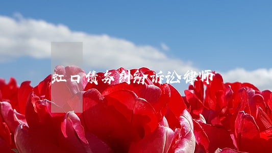 虹口债务纠纷诉讼律师 虹口债务纠纷诉讼律师
