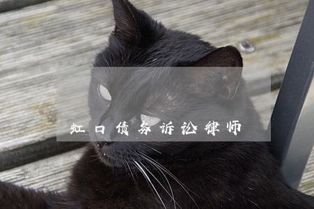 虹口债务诉讼律师 虹口债务诉讼律师