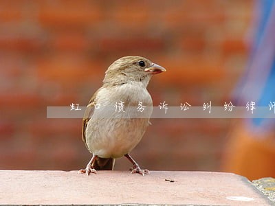 虹口债务诉讼纠纷律师咨询二审 虹口债务诉讼纠纷律师咨询二审