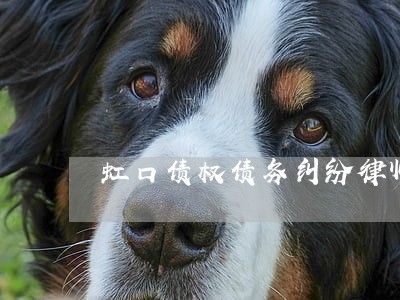 虹口债权债务纠纷律师 虹口债权债务纠纷律师