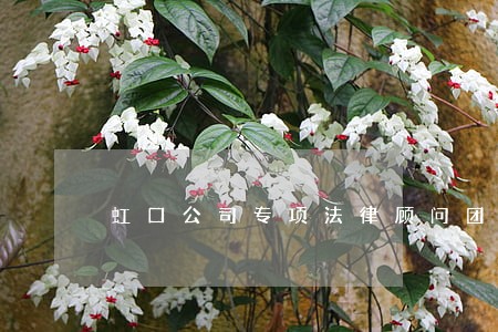 虹口公司专项法律顾问团队 虹口公司专项法律顾问团队