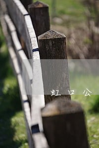 虹口公司债务律师需要多少钱 虹口公司债务律师需要多少钱