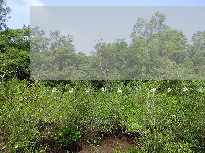 虹口公司经济债务纠纷律师 虹口公司经济债务纠纷律师