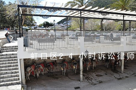 虹口区24小时诉讼律师哪家好