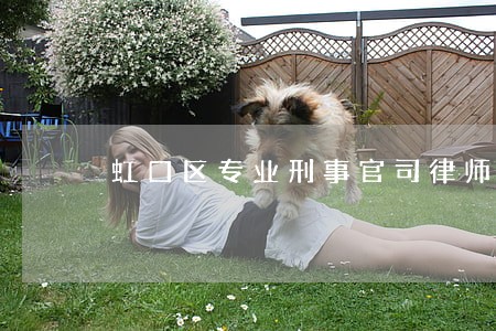 虹口区专业刑事官司律师 虹口区专业刑事官司律师