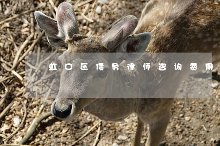虹口区债务律师咨询费用 虹口区债务律师咨询费用