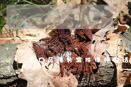 虹口区债务案件律师电话 虹口区债务案件律师电话
