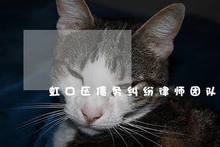 虹口区债务纠纷律师团队 虹口区债务纠纷律师团队