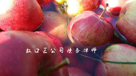 虹口区公司债务律师 虹口区公司债务律师