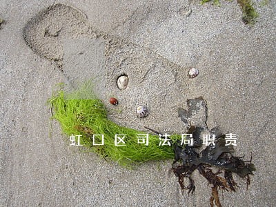 虹口区司法局职责