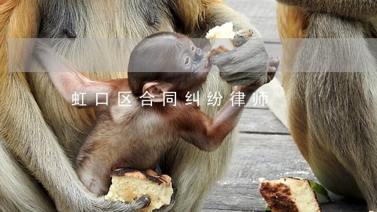 虹口区合同纠纷律师 虹口区合同纠纷律师