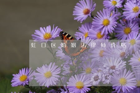 虹口区婚姻法律师价格 虹口区婚姻法律师价格