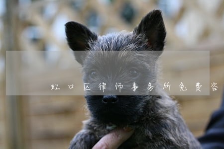 虹口区律师事务所免费咨询热线 虹口区律师事务所免费咨询热线
