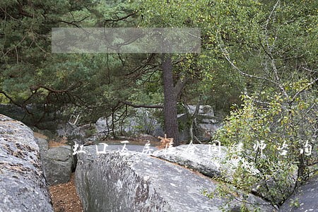 虹口区房屋合同律师咨询 虹口区房屋合同律师咨询