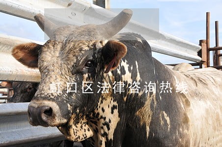 虹口区法律咨询热线 虹口区法律咨询热线