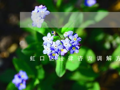 虹口区法律咨询调解方法 虹口区法律咨询调解方法