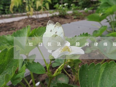 虹口区法律顾问律师报价 虹口区法律顾问律师报价