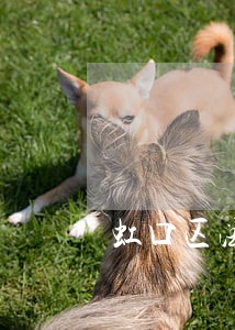 虹口区法律顾问承诺守信 虹口区法律顾问承诺守信