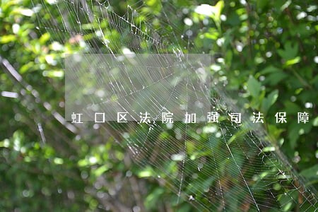 虹口区法院加强司法保障工作 虹口区法院加强司法保障工作