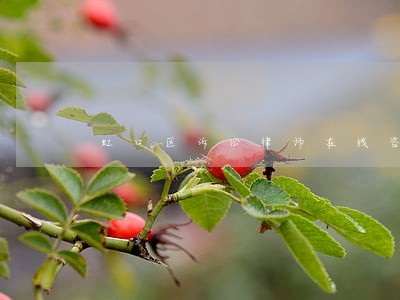 虹口区诉讼律师在线咨询 虹口区诉讼律师在线咨询