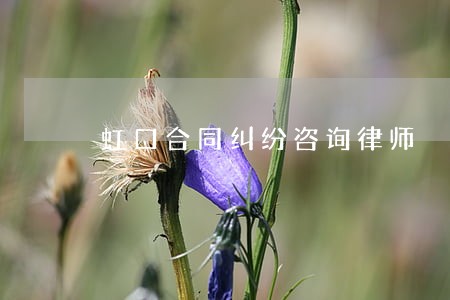 虹口合同纠纷咨询律师 虹口合同纠纷咨询律师