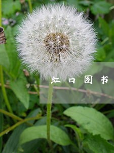 虹口图书馆逾期费 虹口图书馆逾期费