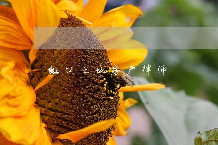 虹口土地房产律师 虹口土地房产律师