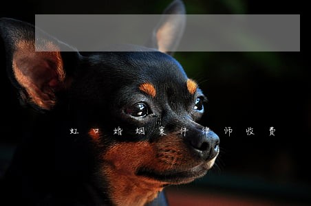 虹口婚姻案件律师收费 虹口婚姻案件律师收费