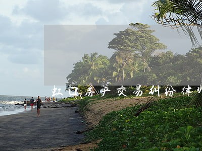 虹口房产交易纠纷律师 虹口房产交易纠纷律师