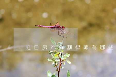虹口房产分割律师有哪些 虹口房产分割律师有哪些