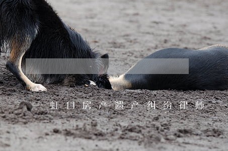 虹口房产遗产纠纷律师 虹口房产遗产纠纷律师