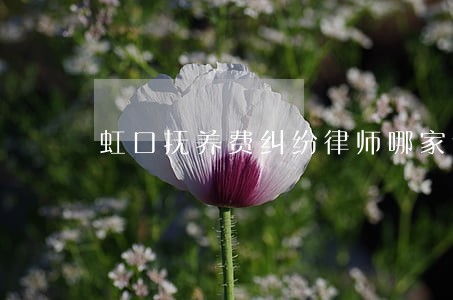 虹口抚养费纠纷律师哪家专业 虹口抚养费纠纷律师哪家专业
