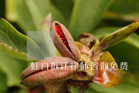 虹口拆迁律师咨询免费 虹口拆迁律师咨询免费