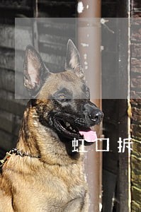 虹口拆迁律师法律咨询 虹口拆迁律师法律咨询