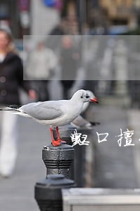 虹口擅长婚姻家事律师 虹口擅长婚姻家事律师