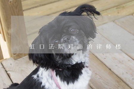 虹口法院对面的律师楼 虹口法院对面的律师楼