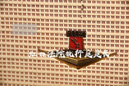 虹口法院执行庭庭长 虹口法院执行庭庭长