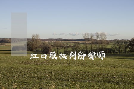 虹口股权纠纷律师