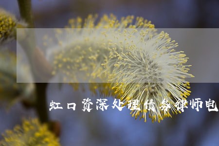 虹口资深处理债务律师电话 虹口资深处理债务律师电话