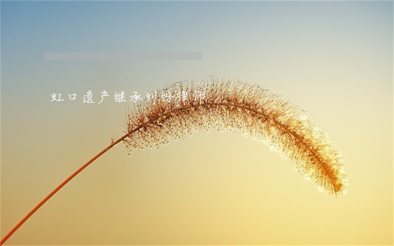 虹口遗产继承纠纷律师 虹口遗产继承纠纷律师