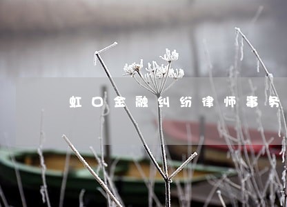虹口金融纠纷律师事务所 虹口金融纠纷律师事务所