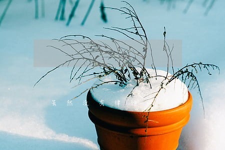 虽然没有律师证 虽然没有律师证
