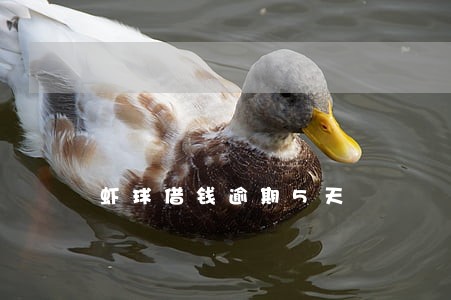 虾球借钱逾期5天 虾球借钱逾期5天