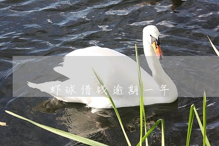 虾球借钱逾期一年 虾球借钱逾期一年