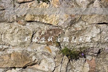 虾球借钱逾期几天爆 虾球借钱逾期几天爆