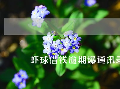 虾球借钱逾期爆通讯录 虾球借钱逾期爆通讯录