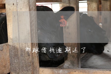 虾球借钱逾期还了 虾球借钱逾期还了