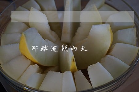 虾球逾期两天 虾球逾期两天